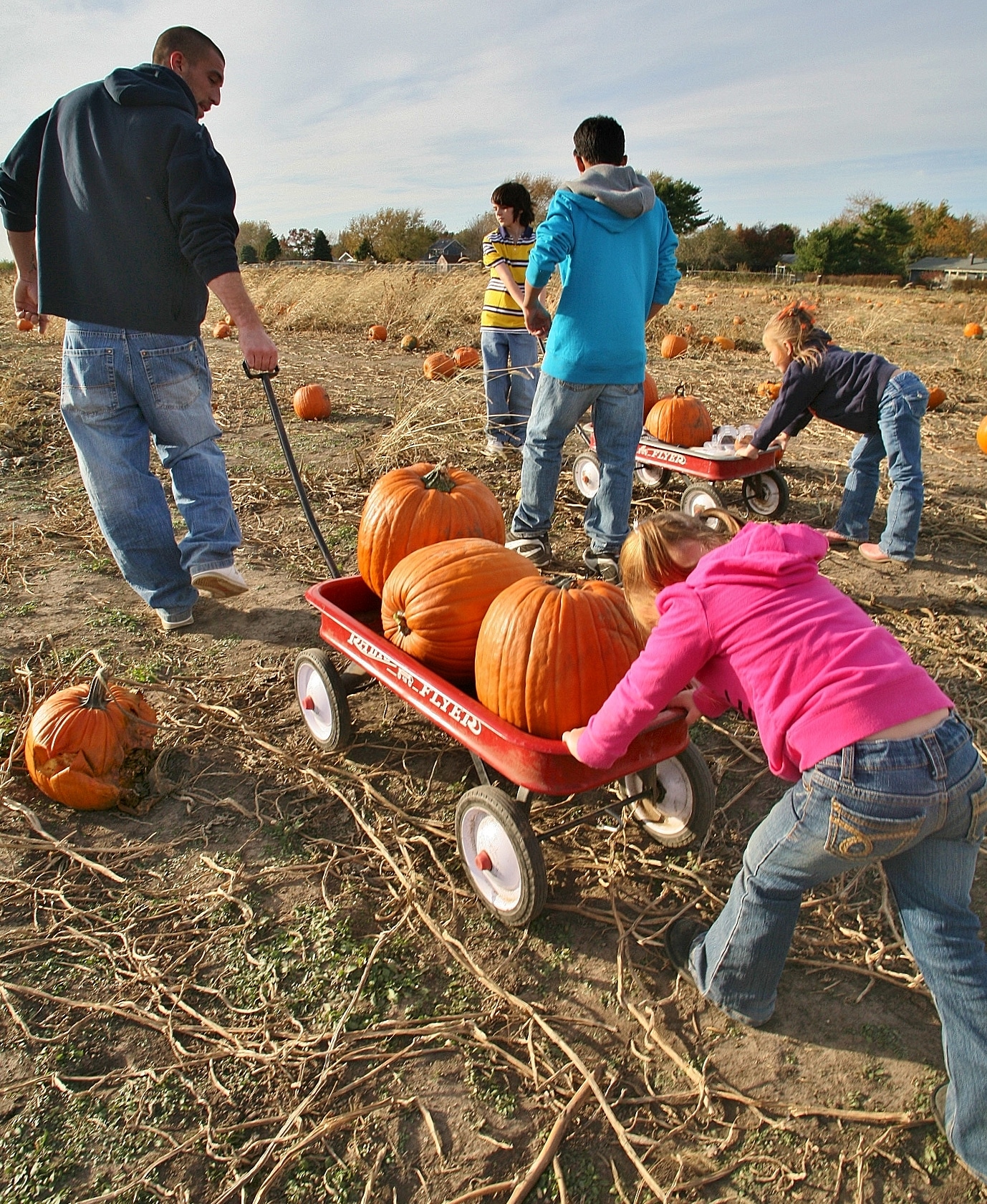 Image of a family picking pumpkins together.