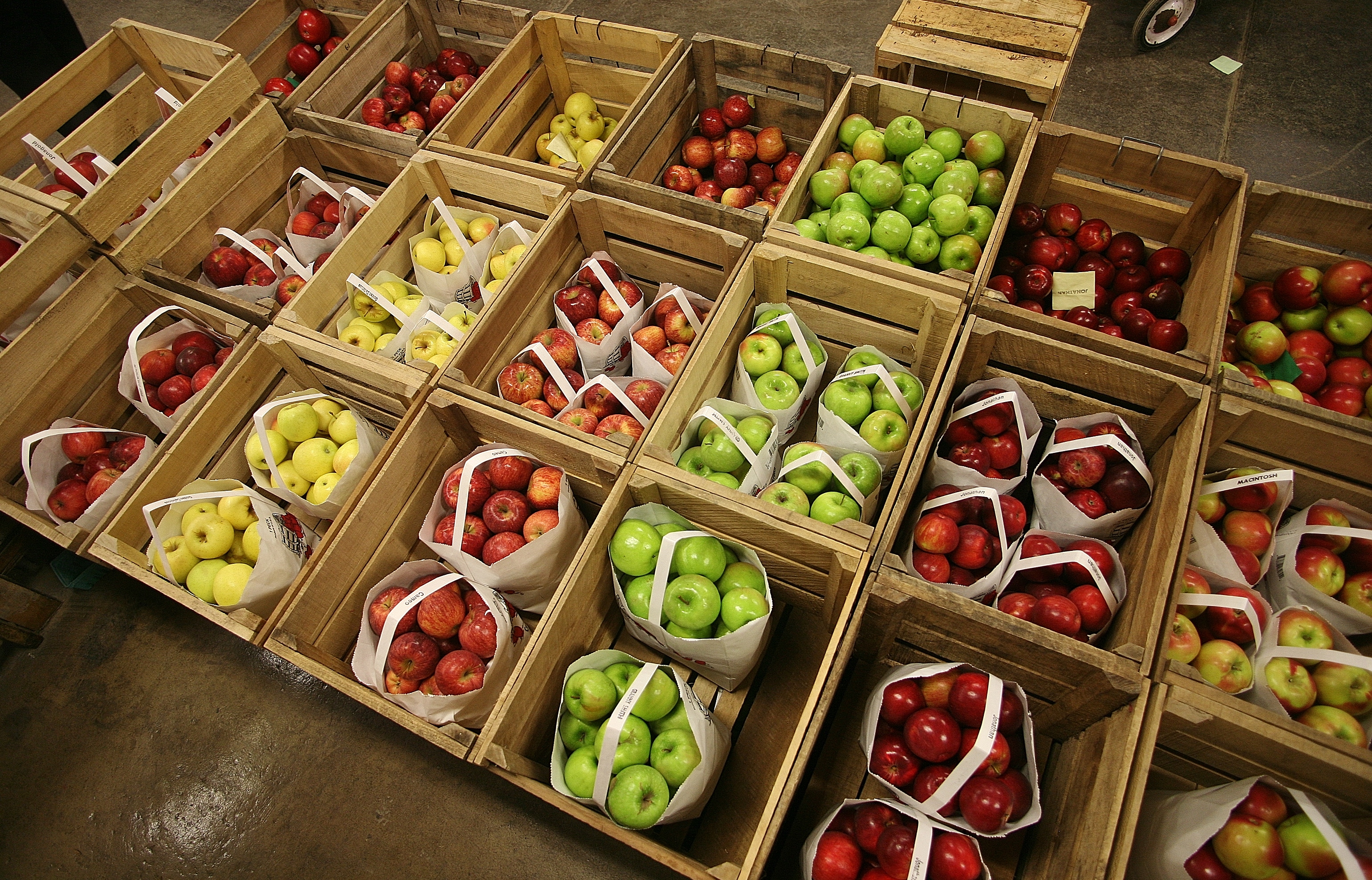 Image Apples in crates after being graded.