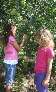 Image of children picking apples